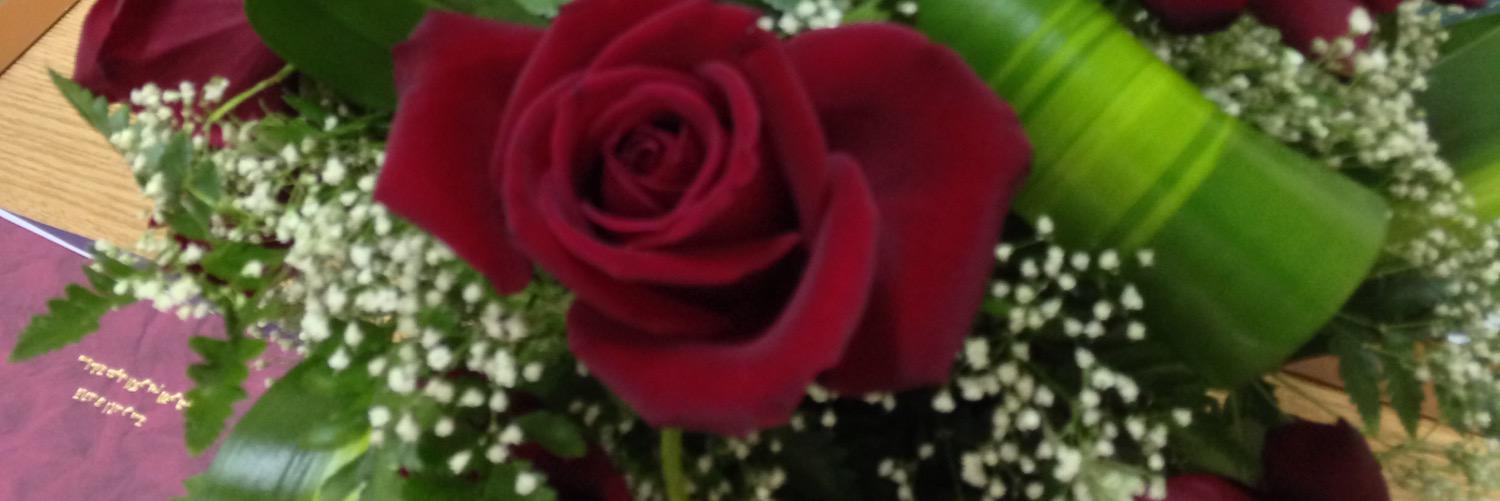 Hager2012A's profile banner image