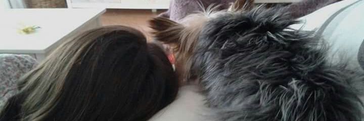 setlauxen's profile banner image