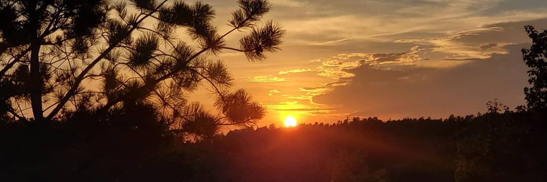 BeeBrock86's profile banner image
