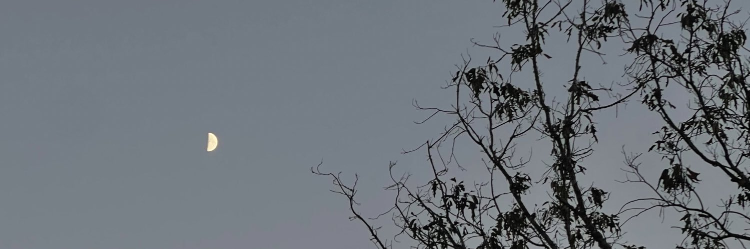 fatherspock's profile banner image