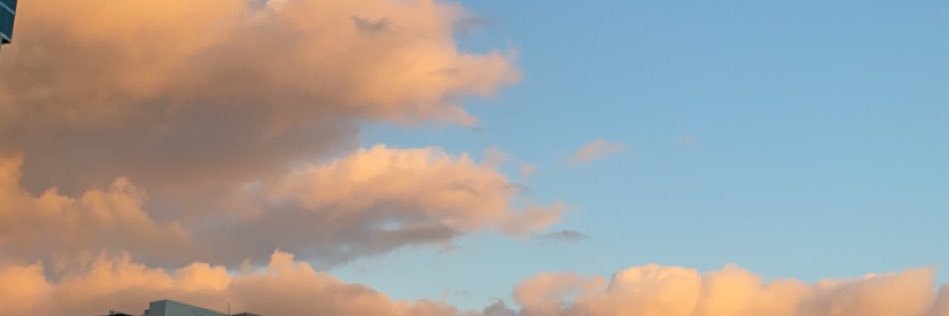 Bri banner