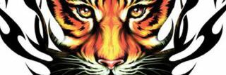 RrRamdhan's profile banner image