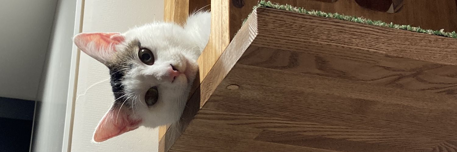 olisman_109's profile banner image