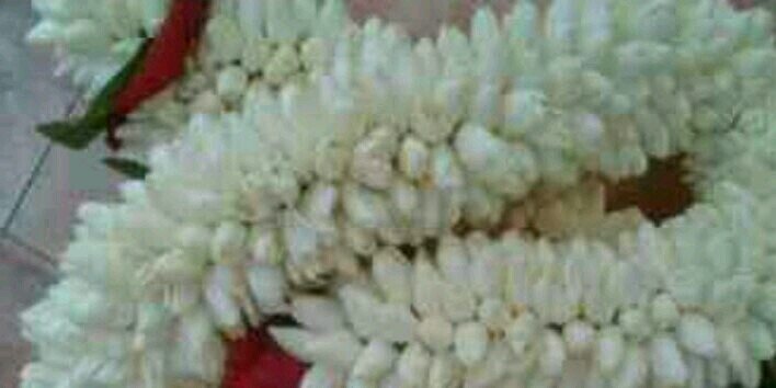 ابو فهد ابن جازان banner