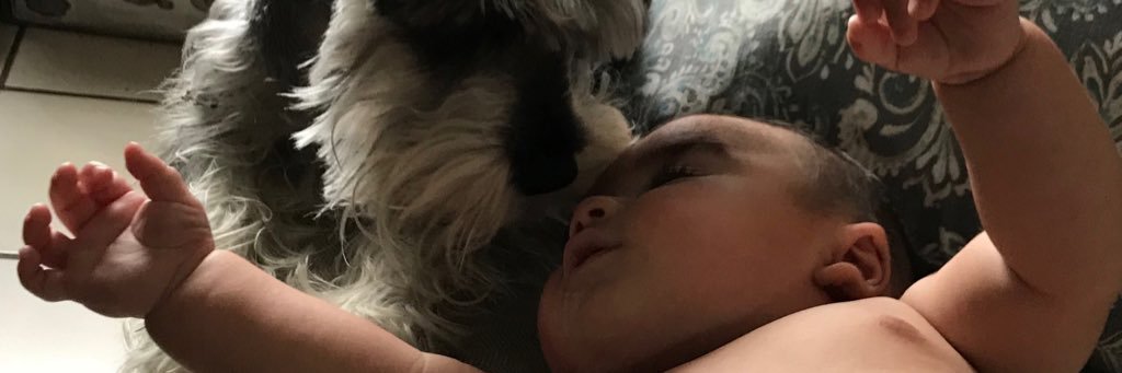 Bryan_fg1's profile banner image