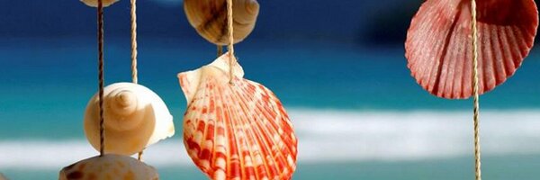 seaherne Profile Banner