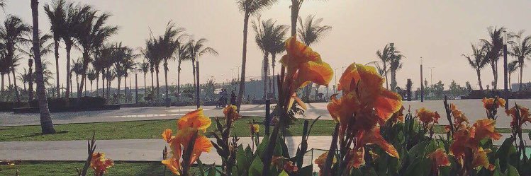 noja1983__'s profile banner image