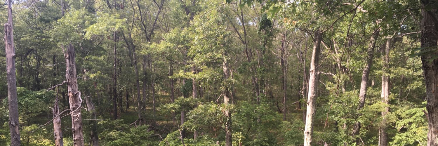 mikejamesg9's profile banner image