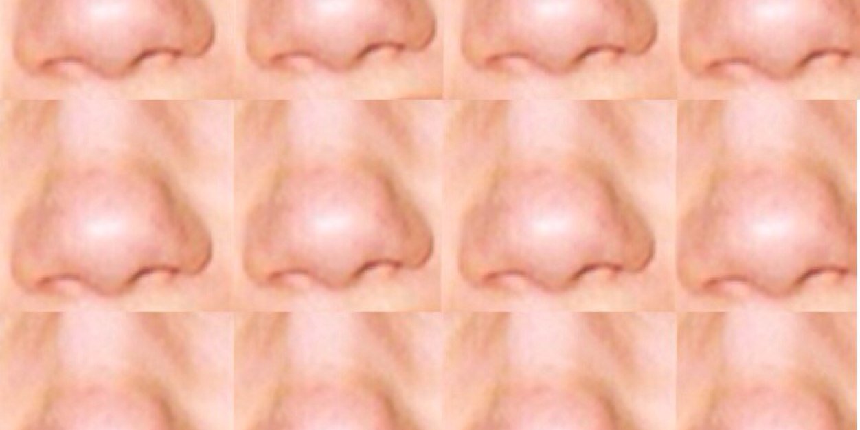 georgesnose's profile banner image