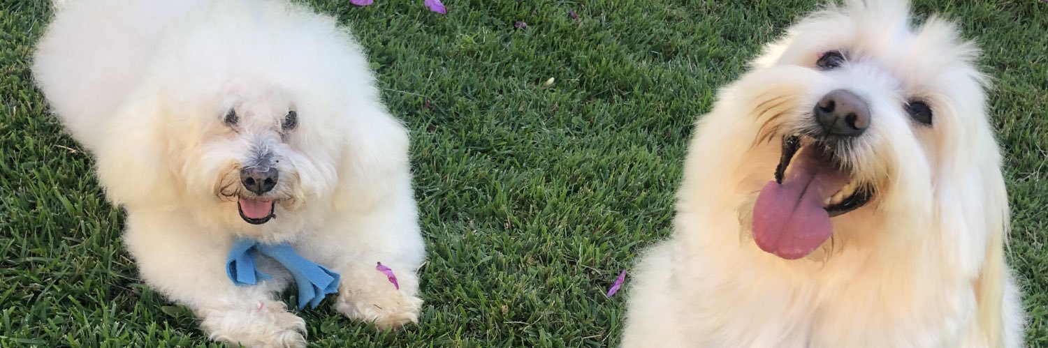 yanny_ara's profile banner image