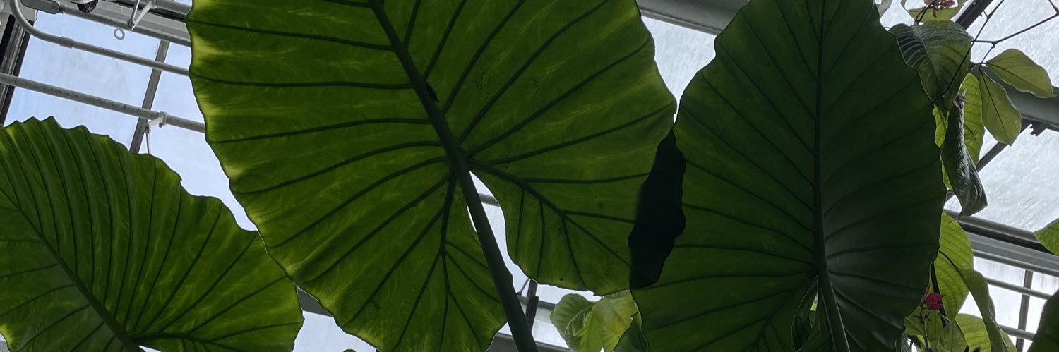 BaileyA_'s profile banner image