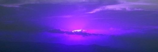 кiтя🔮 banner