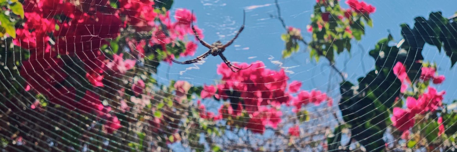aiminabee's profile banner image