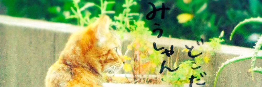 nyangorooon's profile banner image