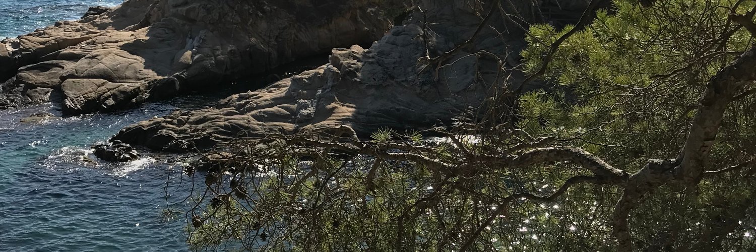 Deborah White@warcriminalsrule banner