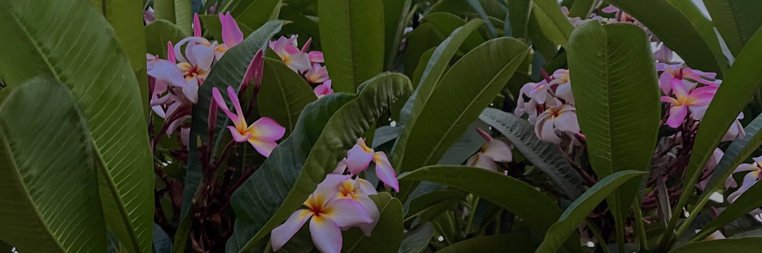 Luciiieglt's profile banner image