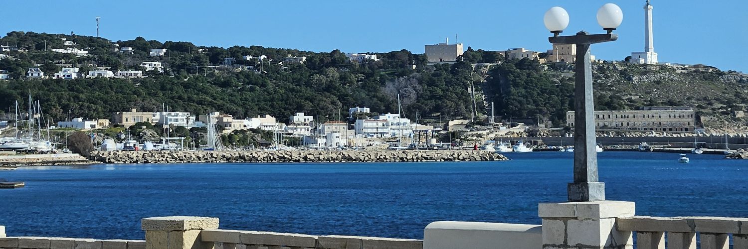 angeloCacciapa2's profile banner image