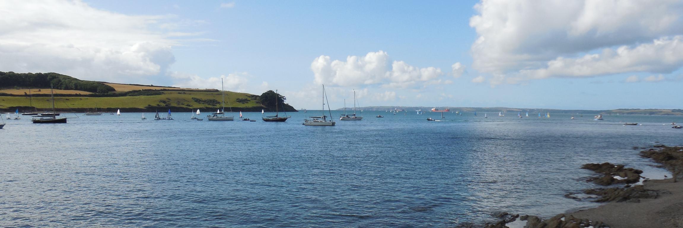 The City Dissident banner