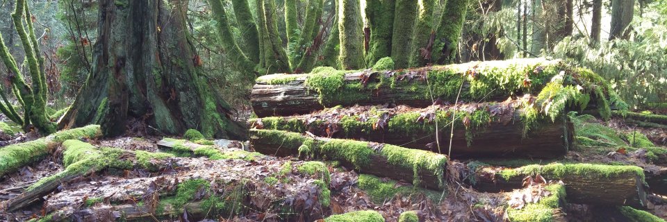 Sebastián García Marra banner