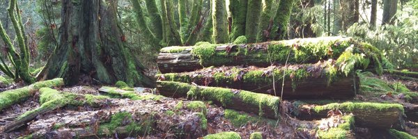 sebasgm85 Profile Banner