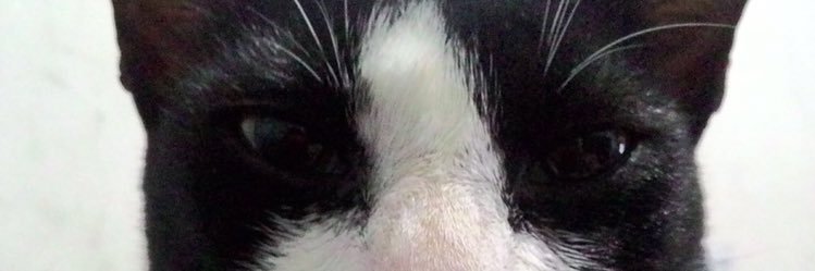 sumribit's profile banner image