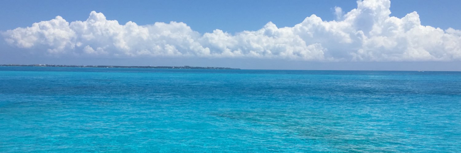 sapitone's profile banner image
