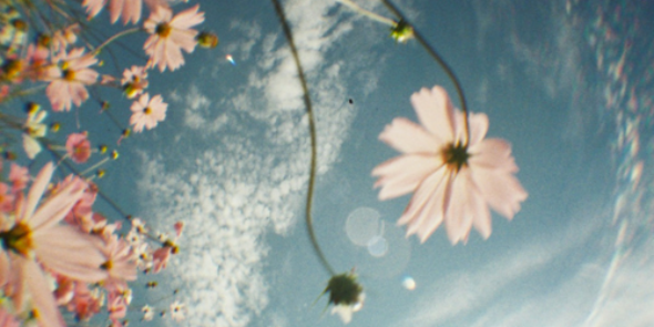 SuzanneKipping's profile banner image