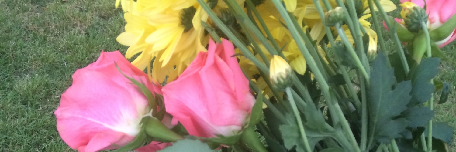 EmilyBrunson3's profile banner image