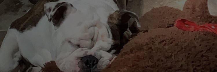 kennia321's profile banner image