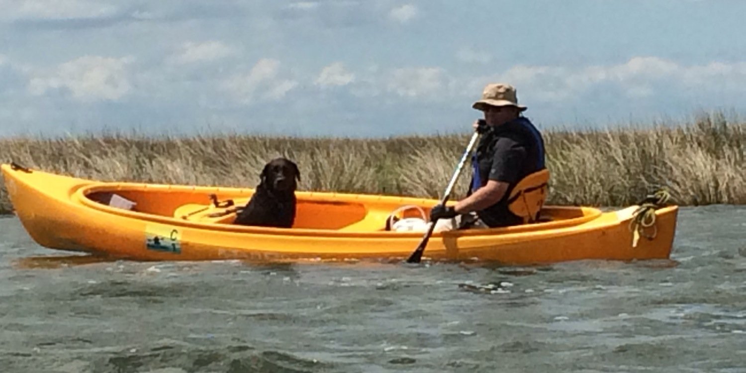 caninehandler's profile banner image
