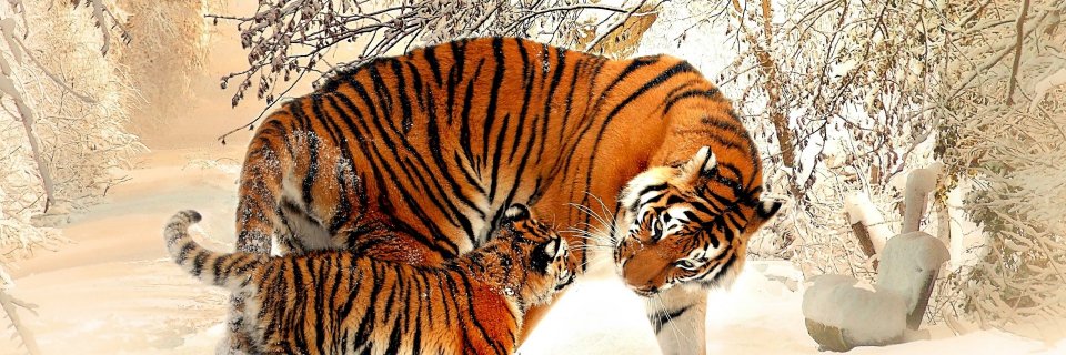 JStoesz9's profile banner image