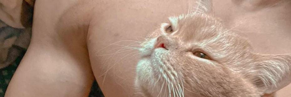 Rizka Amelia Putri banner