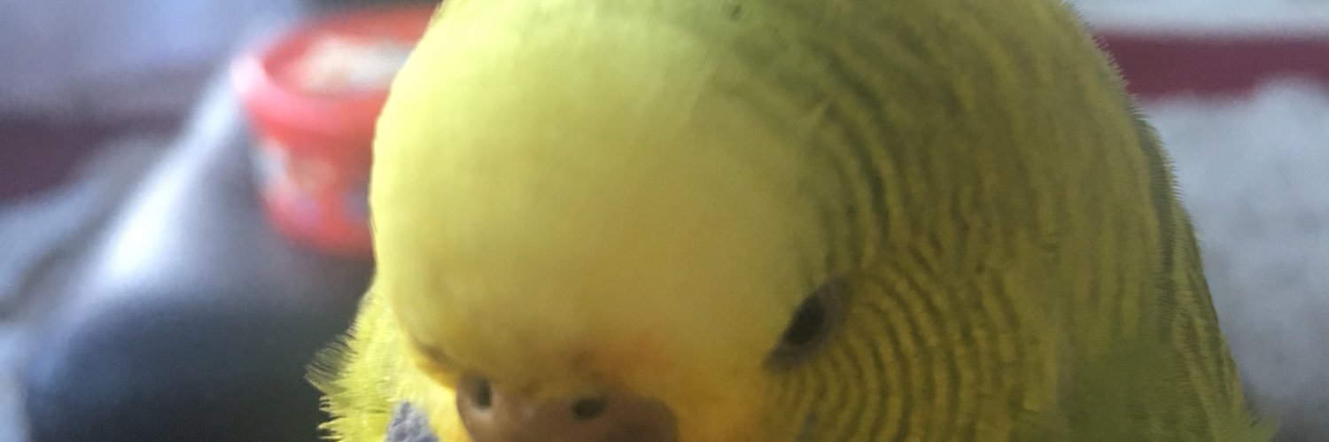 ramskill_david's profile banner image