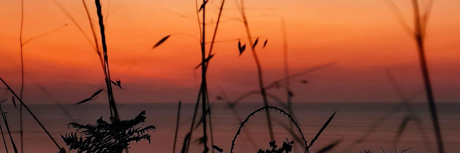 __Lau8's profile banner image