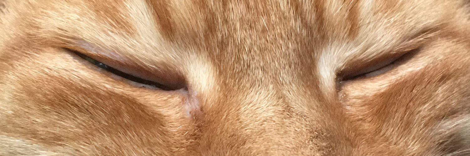 LucasDbe's profile banner image