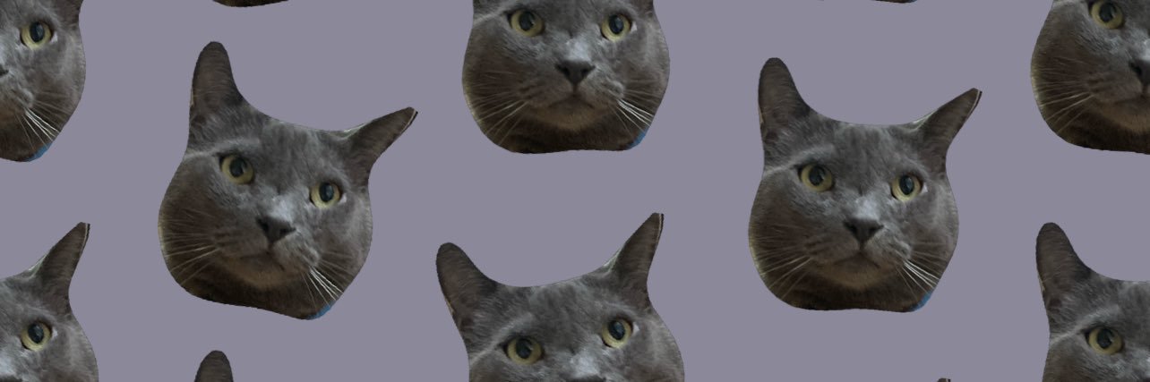 Sarahangiee's profile banner image