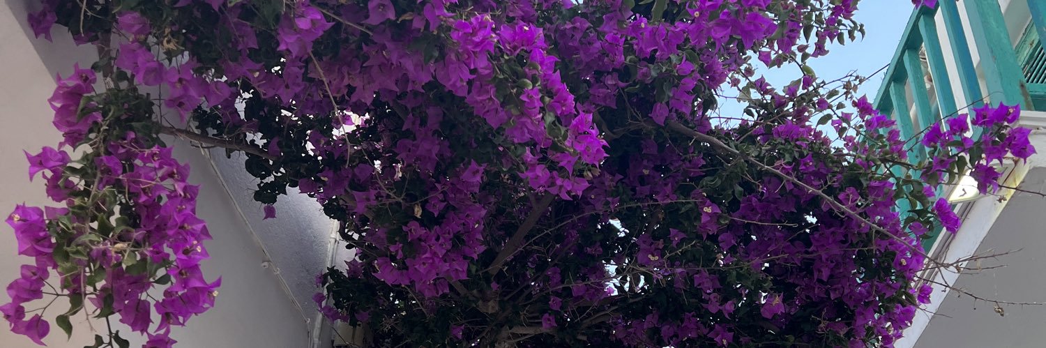 savvyocean's profile banner image