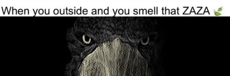 MalcolmsNormalAdventure banner