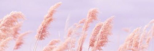 marisaingp's profile banner image