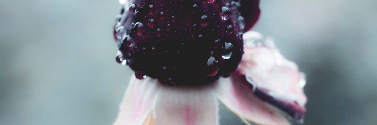 lukas81740's profile banner image