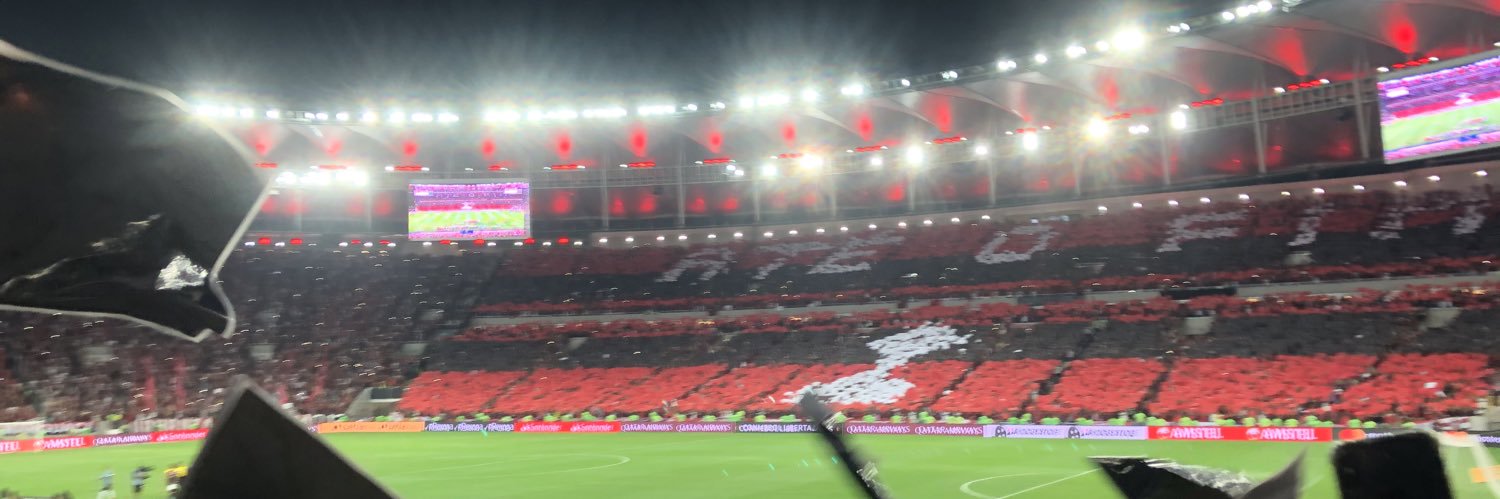 dolfimfla's profile banner image