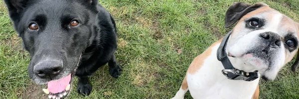 SnoopMuzzyMuz Profile Banner