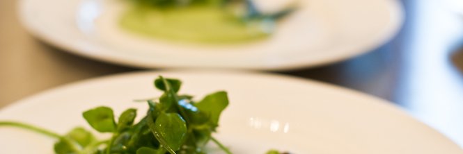 SpringfontEats's profile banner image