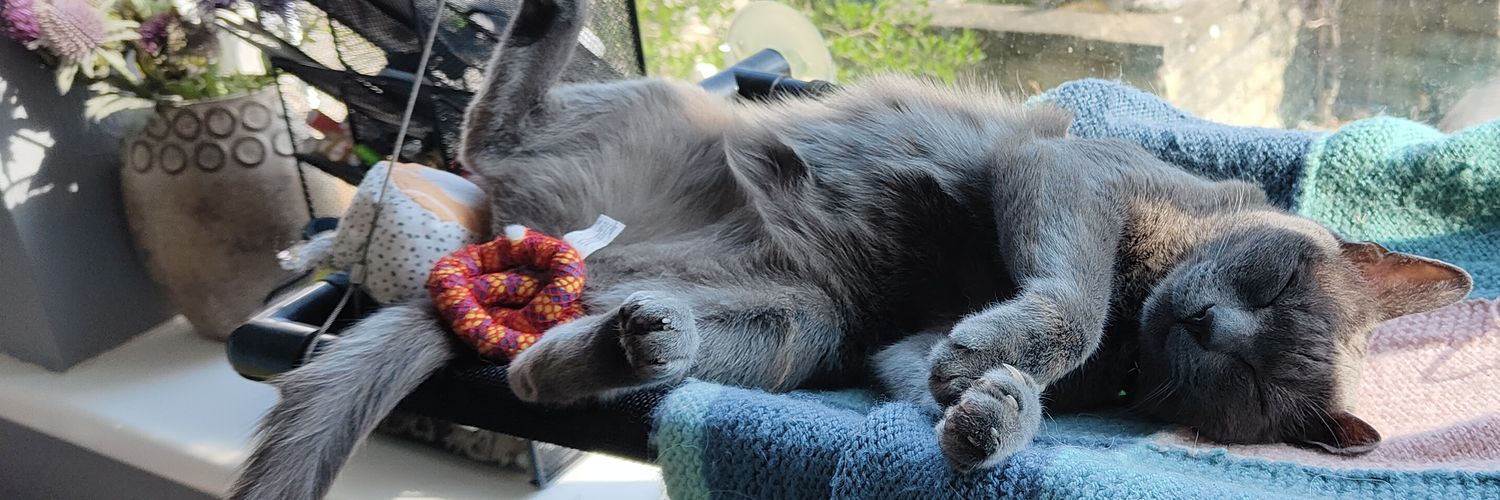 daddy egg sack banner