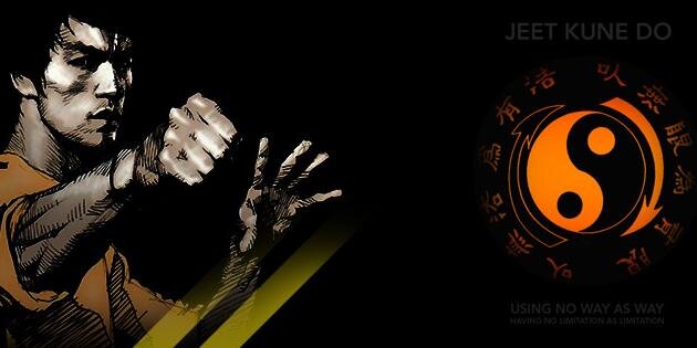 Alpha Omega MMA banner