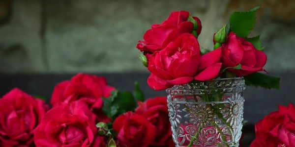 jscheaplove's profile banner image