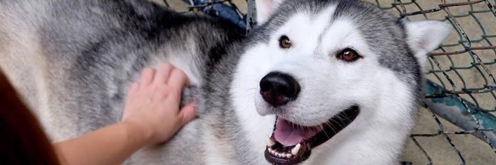 aumlk's profile banner image