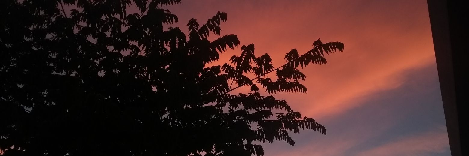 giiramirez's profile banner image