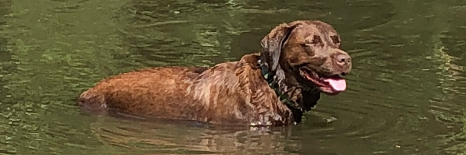 crawdog78's profile banner image