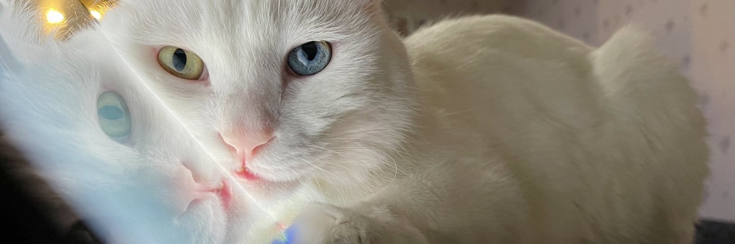lineric's profile banner image